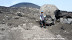Lava Bomb from the main Crater lava_bomb3.jpg