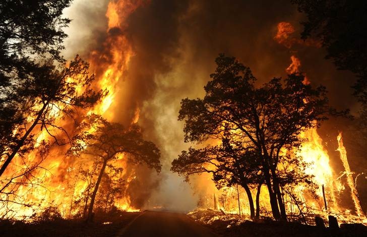 [ss-110906-texas-wildfires-08.grid-9x2%255B4%255D.jpg]
