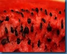 watermelon 2