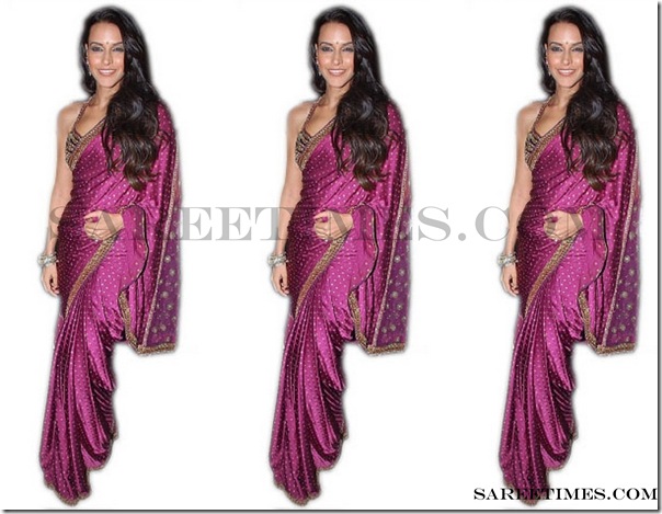 Neha_Dhupia_Purple_Designer_Saree