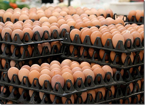 Egg Egg