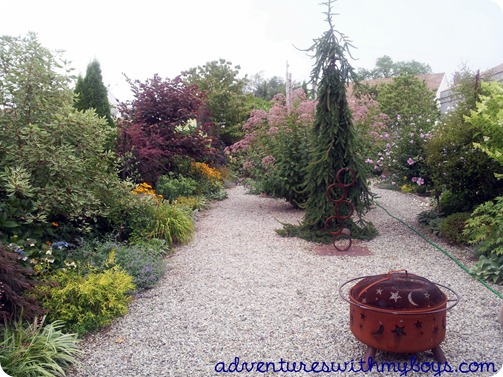 backyard garden