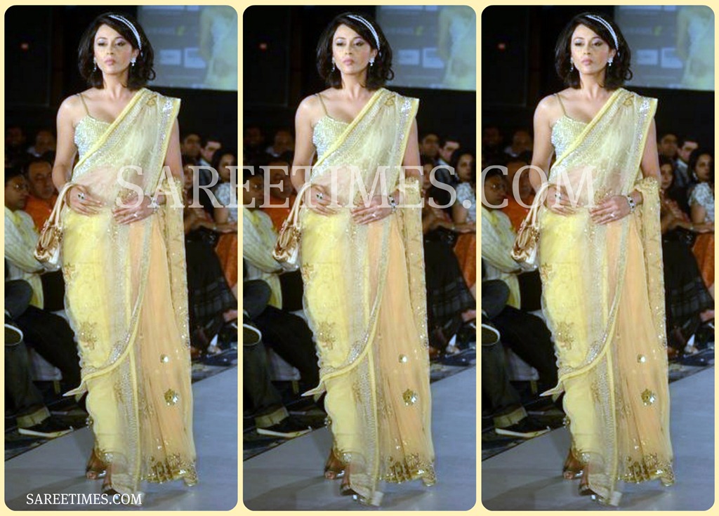 [Embroidery_Shimmer_Saree%255B3%255D.jpg]