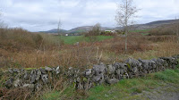 P1000351.JPG Photo