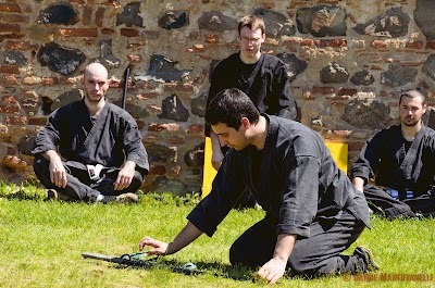 Enbu-castello20.jpg