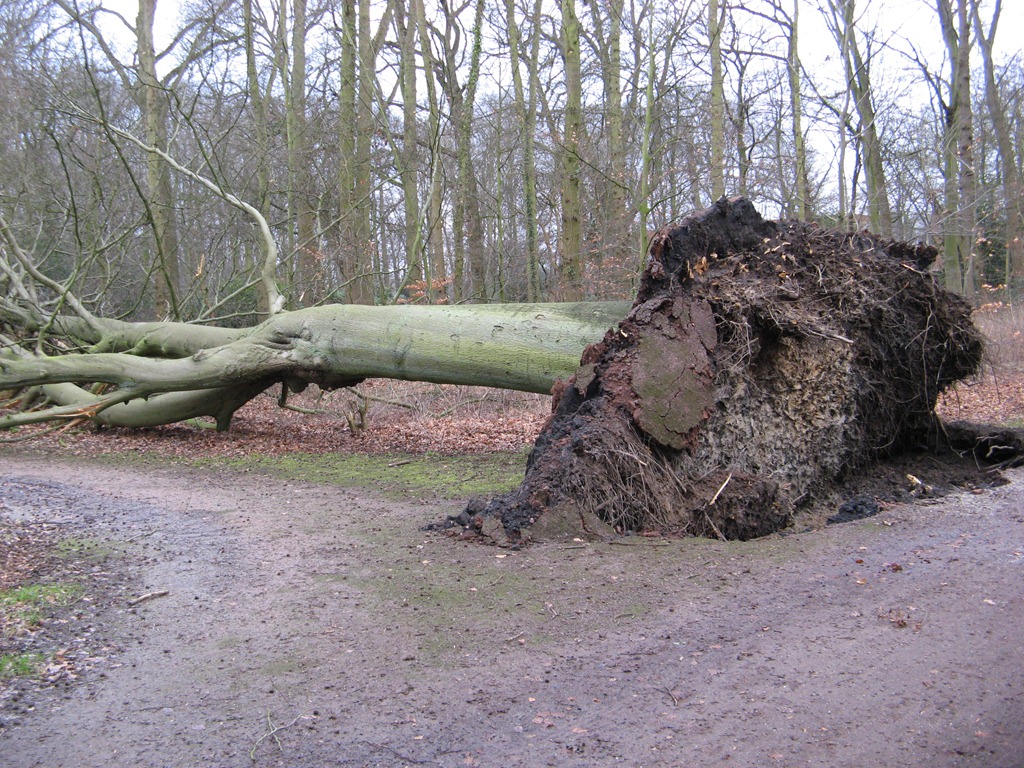 [IMG_7223%255B5%255D.jpg]