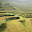 Philippines- Banaue