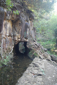 DSC_0012.jpg