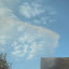P1010890.JPG