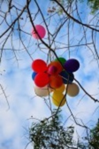 12058283-balloons-on-the-tree-top-1