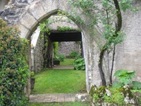 IMG_3726 IMG_3726