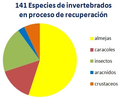 recuperacion de especies