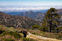 Rattlesnake Peak from Blue Ridge Photo Rattlesnake Peak from Blue Ridge Photo