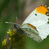 20130322_24