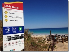 IMG_1684 IMG_1684