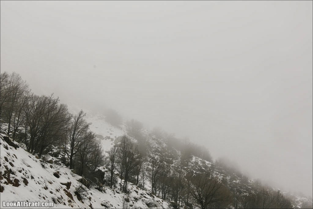 Хермон охлаждающий