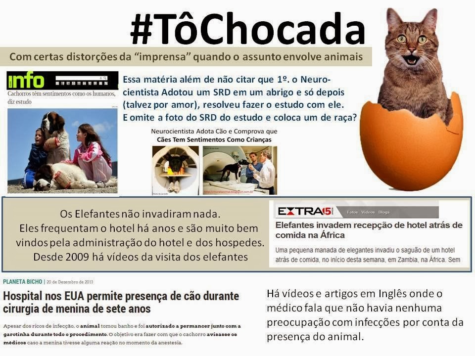 [to-chocada%255B3%255D.jpg]
