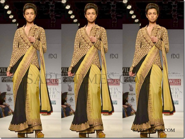Anand_Kabra_Saree (4)