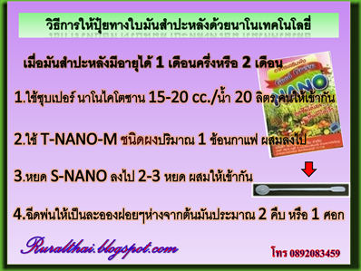 การให้ปุ๋ยทางใบช่วงแรก การให้ปุ๋ยทางใบช่วงแรก