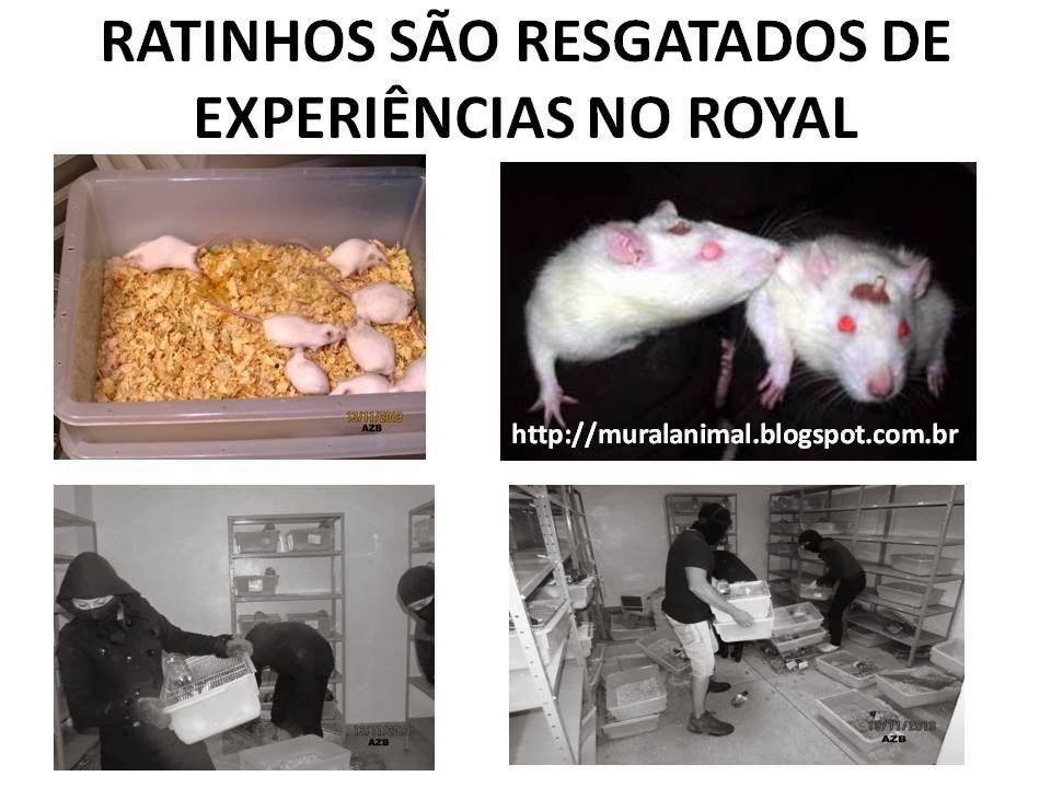 [Slide2%255B3%255D.jpg]