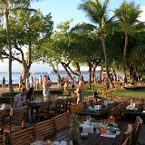 Busy Luau