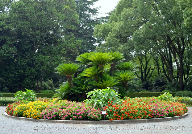 Glória Ishizaka -   Kyoto Botanical Garden 2012 - 141