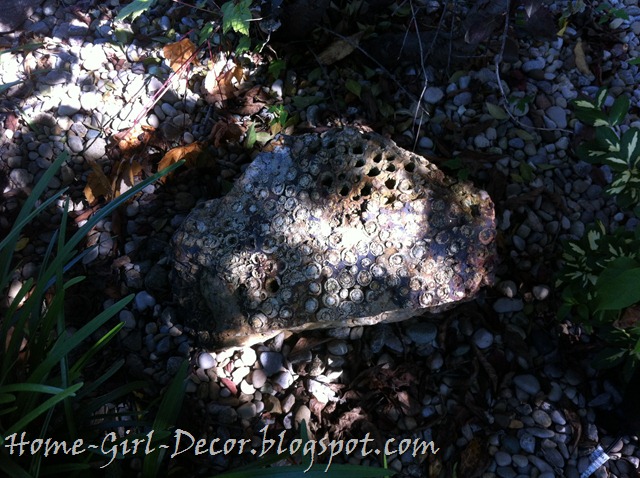 IMG_4542 IMG_4542