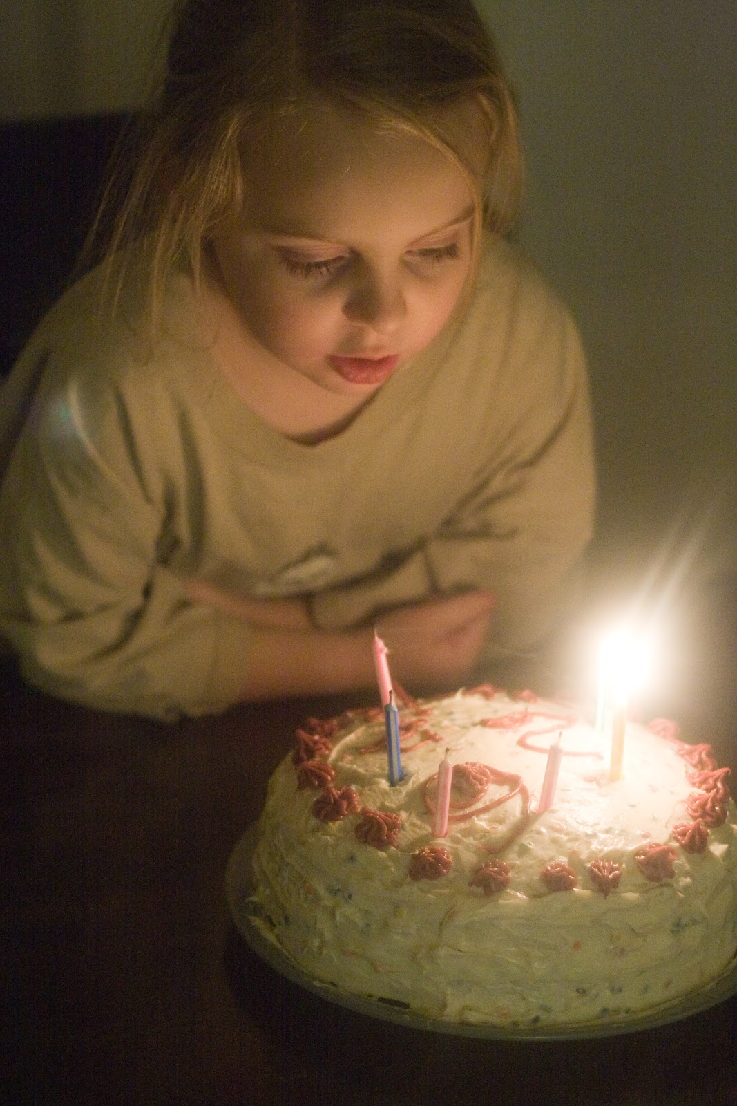 [2.19.13-soph-cake-33.jpg]