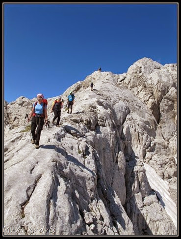 Picos 157 Picos 157