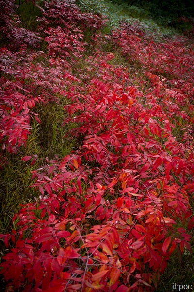 IMG_0505 IMG_0505