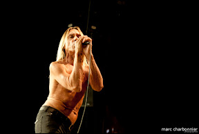 Iggy and the Stooges-1.jpg