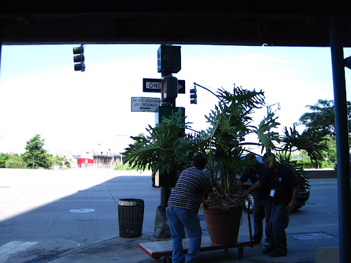 When they turned the corner, a car came by and almost hit them.