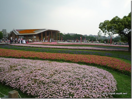 2010台北花博-林下花圃花海區 2010台北花博-林下花圃花海區