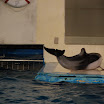 hokkaido_475.jpg