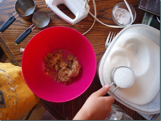 P1313251