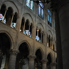 DSC_0133.jpg
