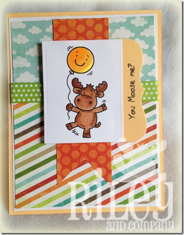 photo (11)