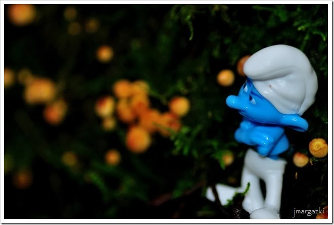 DSC_0525 DSC_0525