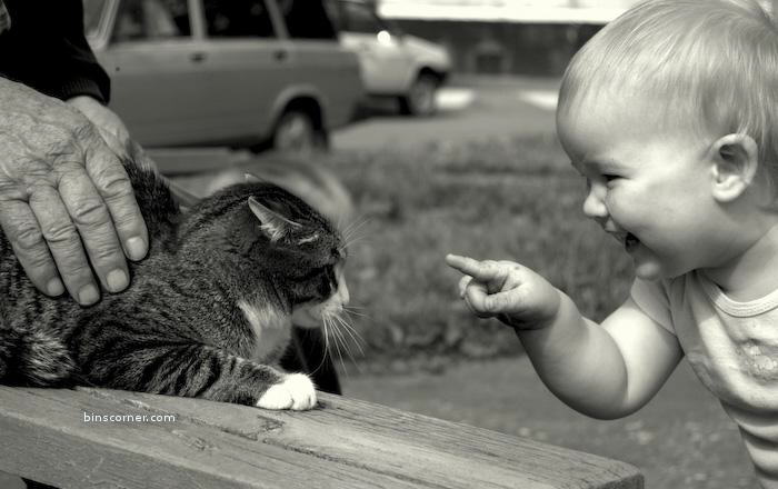 So Sweet Photos : You will smile for sure