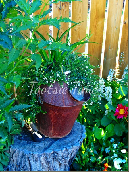 BeFunky_010.jpg BeFunky_010.jpg