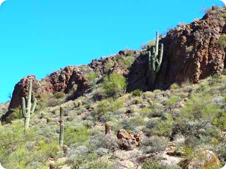 Apache Landscape Apache Landscape