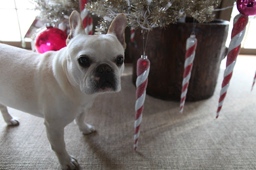 Yes, all of these ornaments are very nice, but I think this tree is missing something.