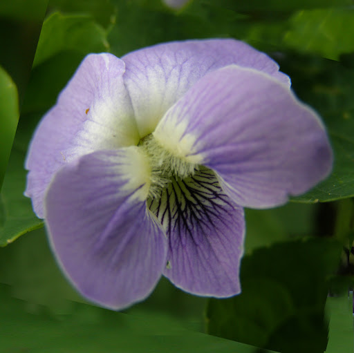 Mothers Day Gift Baskets Help Honor the Special Women in Your Life This Mom's Day