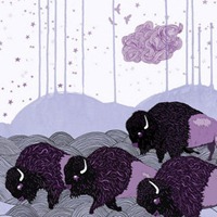 plains of the purple buffalo