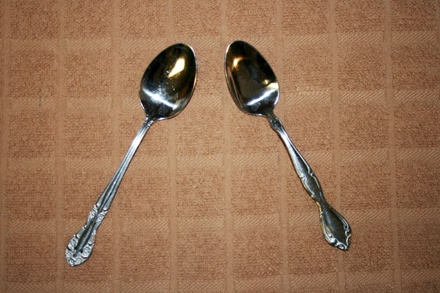 [spoons2.jpg]