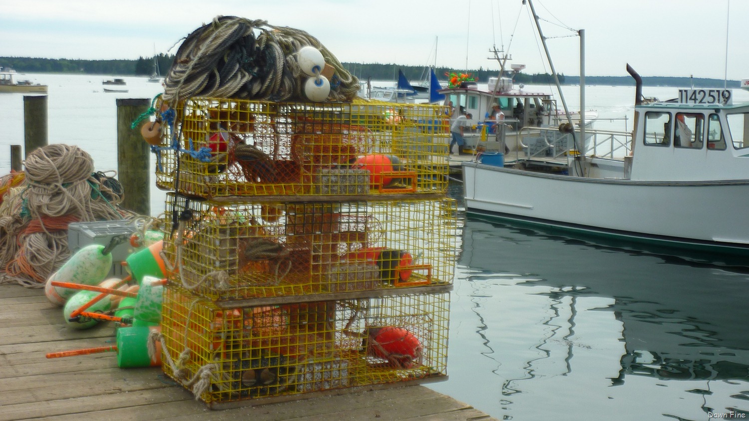 [Acadia%2520National%2520Park_174.jpg]