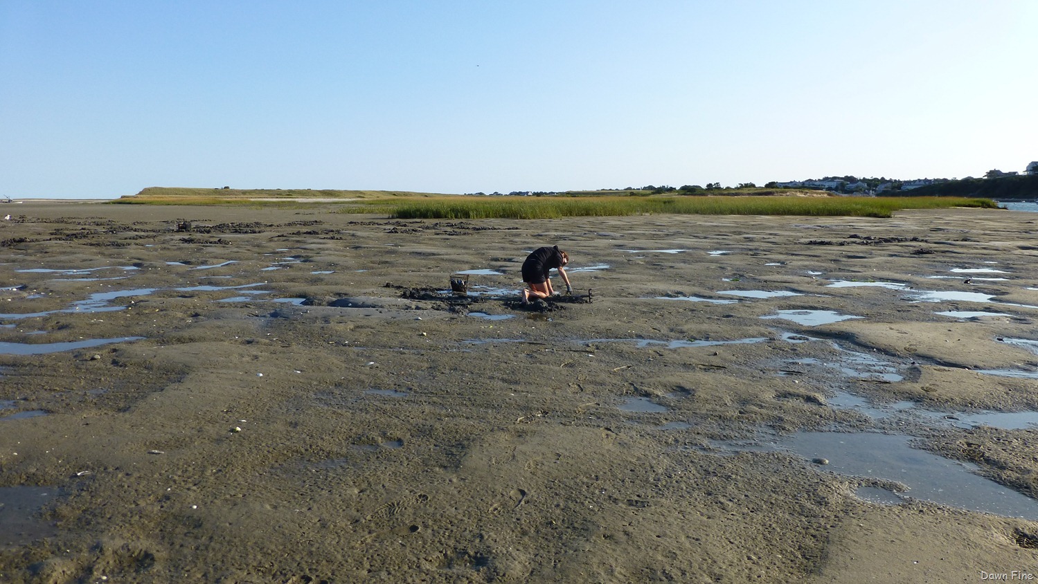 [tern-island-birding_0183.jpg]