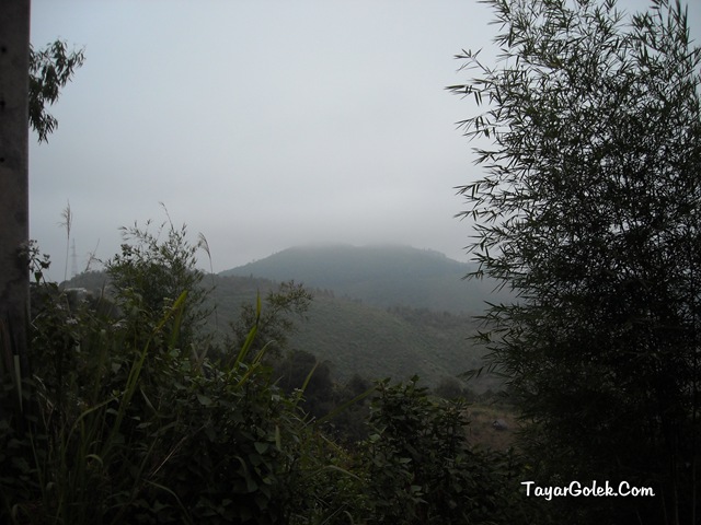 [DSCN80862.jpg]