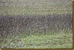 IMG_5396 IMG_5396