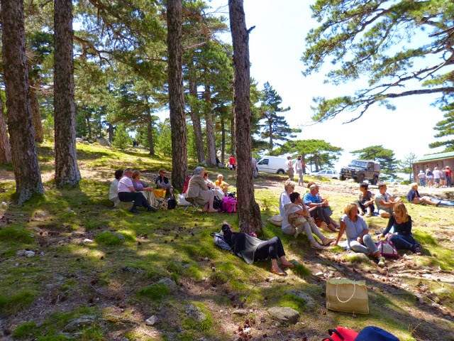 P1000239.JPG
